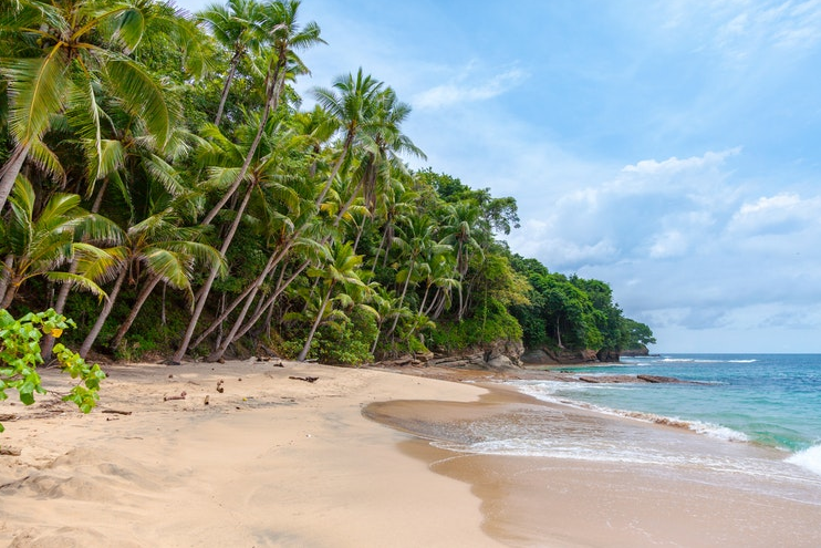 Taxi from Jungle Beach to Colombo airport