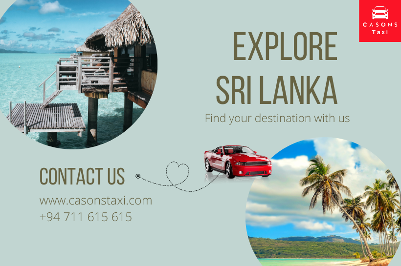 Tour Packages in Sri Lanka